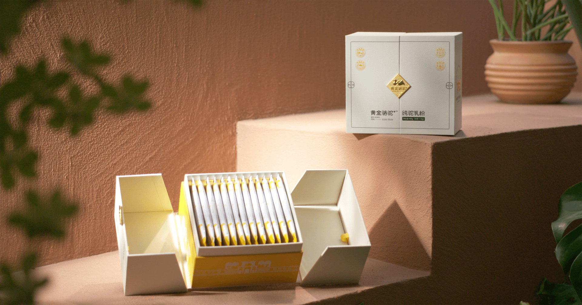 定位小众高端乳粉，尊龙凯时推出驼奶品牌“黄金骆驼+”，角逐乳品新市场！